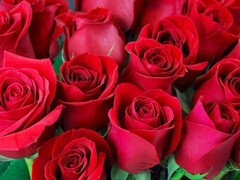 Amatéri, Teta, Veľký zadok, Kuřba, Homemade, Indické, Dospelé, Mamina