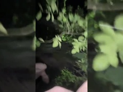 Amatéři, Pár, Sperma v puse, Roztomilá, Na pejska, Rodina, Přítelkyně, Běhna