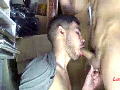 Anal, Mamada, Gay, Público, Montar