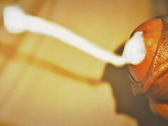 아마추어, 사정 샷, 인도인, 수음, 혼자