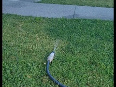 Fétis, Házi készítésű, Érett koros, Egyedül