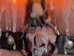 Bondage discipline sadomasochisme, Blond, Fetisj, Moeder die ik wil neuken, Tepels, Doordringend, Tieten likken
