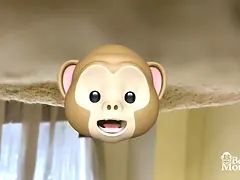 18 χρονον, Ερασιτέχνης, Μεγάλος κώλος, Ξανθιά, Ηδ, Αυνανισμός, Μόνος, Παιχνίδια