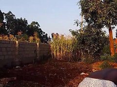 African, Amaterji, Kompilacije, Gej, Zunaj, Solo