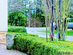 Duże cycki, Blondynka, Cycata, Mamuśka, Naturalne cycki, Rosyjski, Student, Cycki