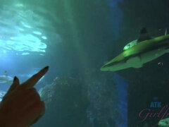 Vessa, Ranta, Bikinit, Käsihoito, Latinankieli, Näkökulma pov, Turvonneet nännit, Pillu