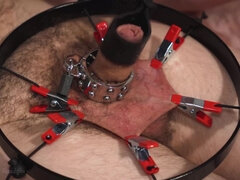 Leie, Sadomasochismus, Cfnm, Weibliche domination, Erniedrigung, Herrin, Orgasmus, Sklave