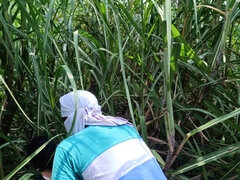 Amatőr, Pár, Szabadban