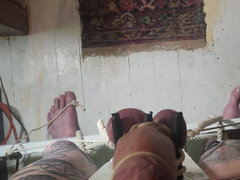 素人, アメリカ人, ボンデージ, ディルド, 女, フェムドム, オナニー, 熟年