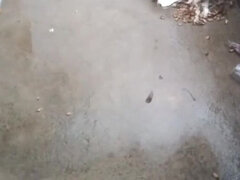 18 летние, Азиатки, Красивые, Подружка, Хд, Индианки, Учитель, Жена