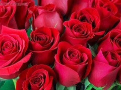 Ερασιτέχνης, Θεία, Πίπα, Σπιτικό, Ινδιάνος, Ώριμη, Ώριμη γυναίκα