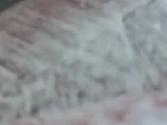 Amatööri, Eurooppalainen, Fetissi, Karvainen, Kotitekoinen