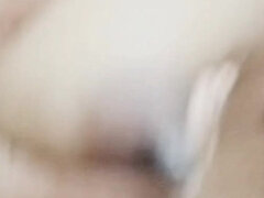 Amatööri, Intialainen, Maitoa vuotava, Vanhempi, Soolo