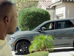 Tyłek, Duży tyłek, Duże cycki, Obciąganie, Hardcore, Mamuśka, Cipka, Cycki