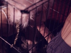 Anale, Culo grosso, Tette grandi, Pompino, Brunetta, Matura, Mamma che vorrei scoparmi, Ragazza