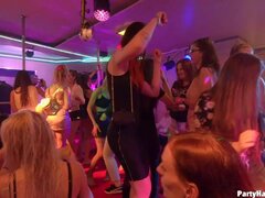 Tyttö, Spermashotti, Naamallinen, Ryhmä, Rankka, Sekarotuinen, Orgiat, Juhlat