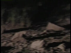 Πρωκτικό, Μεγάλα βυζιά, Περίεργο, Πίπα, Κλασικός, Ομάδα, Σκληρό, Μουνί