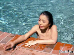 Amerikaner, Stor kukk, Svart, Basseng