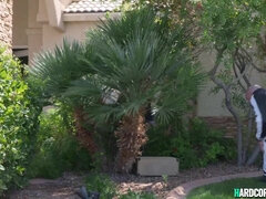 Stor rumpe, Stor kukk, Store pupper, Blond, Hardcore, Milf, Pornostjerner, Spansk