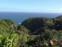 You do plenty of hand holding on the road to Hana