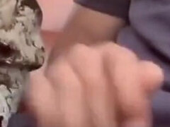 18, Amatéri, Autobus, Honění, Teenka