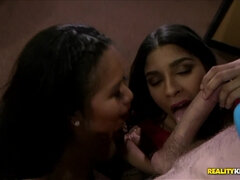 Asiatisch, Blondine, Blasen, Braunhaarige, Spermaladung, Latina, Geld, Muschi