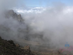 In den arsch, Besamung, Fingern, Fussjob, Rasiert, Entkleiden, Titten, Unter dem rock