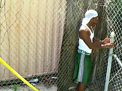 Amateur, Anal, Negro, Mamada, Ébano, Gay, Al aire libre, Público