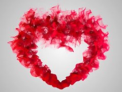 Толстушки, Блондинки, Минет, Британки, Секс без цензуры, Зрелые, Мамочка, Киски