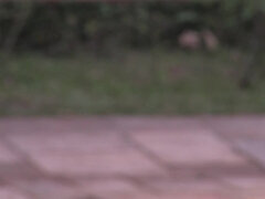 Grosser arsch, Grosse titten, Blasen, Brasilien, Spermaladung, Hardcore, Latina, Im freien