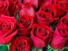 Indian bhabhi Desi Mazaa gets into some family taboo action before sex