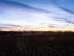 Schwarz, Blasen, Braunhaarige, Spermaladung, Küssen, Höschen, Tätowierung, Tanga