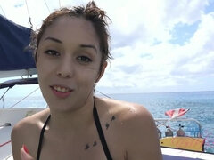 Kristina sees a lot of cool sea creatures during your dive in Hawaii