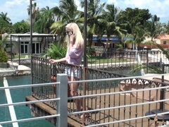 Pervs On Patrol - Arousing Next Door Neighbor 1 - Halle Von