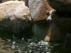 Arsch, Grosse titten, Schwarz, Blondine, Füsse, Absätze, Lecken, Muschi