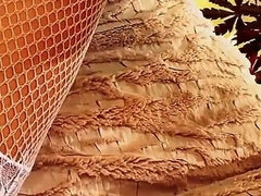 Tekintélyes didik, Gesztenyebarna, Leszbikus, Ápoló