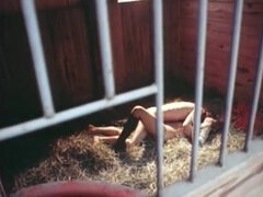 Americkej, Mačiatko, Skupina, Hardcore, Orgie, Pička, Teenka, Zastarané