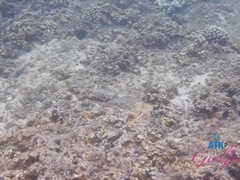 Amatorka, Plaża, Obciąganie stopami, Obciąganie, Orgazm, Drobna, Cipka, Ogolona