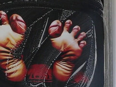 Cleaning Cocktoes Picture