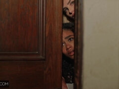 Tekintélyes didik, Kebles, Ébenfekete, Fajok közötti, Természetes mellek, Pornósztárok, Tini, Begyek