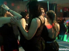 Club orgy of gorgeous sluts getting their tight holes drilled hard