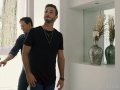 Tekintélyes didik, Fekete, Gesztenyebarna, Mocskos, Kézimunka, Fehérnemű, Érett feleség, Feleség