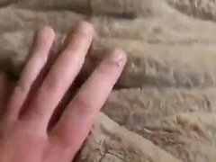 Amatør, Røv, Pik sutte, Latinsk, Bryster, Kone