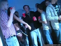 Amatéři, Velké kozy, Kuřba, Vysokoškolačka, Hardcore, Párty, Různé pohledy, Kuřba sání