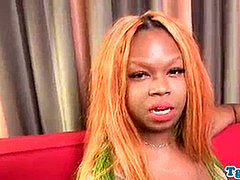 Tyłek, Czarny, Puszysta, Ciemna karnacja, Walenie konia, Masturbacja, Shemale, Solo