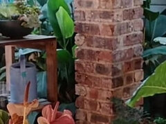 Любители, Брюнетки, Домашнее видео, Домохозяйки, Милф, На природе, Табу, Жена