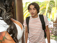 Tekintélyes didik, Gesztenyebarna, Sarokkal való, Konyha, Érett feleség, Spanyol