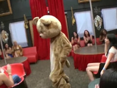 A man is dancing in a bear costume and gets his dick sucked