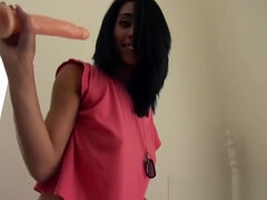 Monumentális dákó, Tekintélyes didik, Gesztenyebarna, Kebles, Klasszikus, Édes, Kutya póz, Nuni