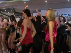 Amatoriale, Grande cazzo, Pisello, Gruppo, Interrazziale, Baciando, Orgia, Rasata